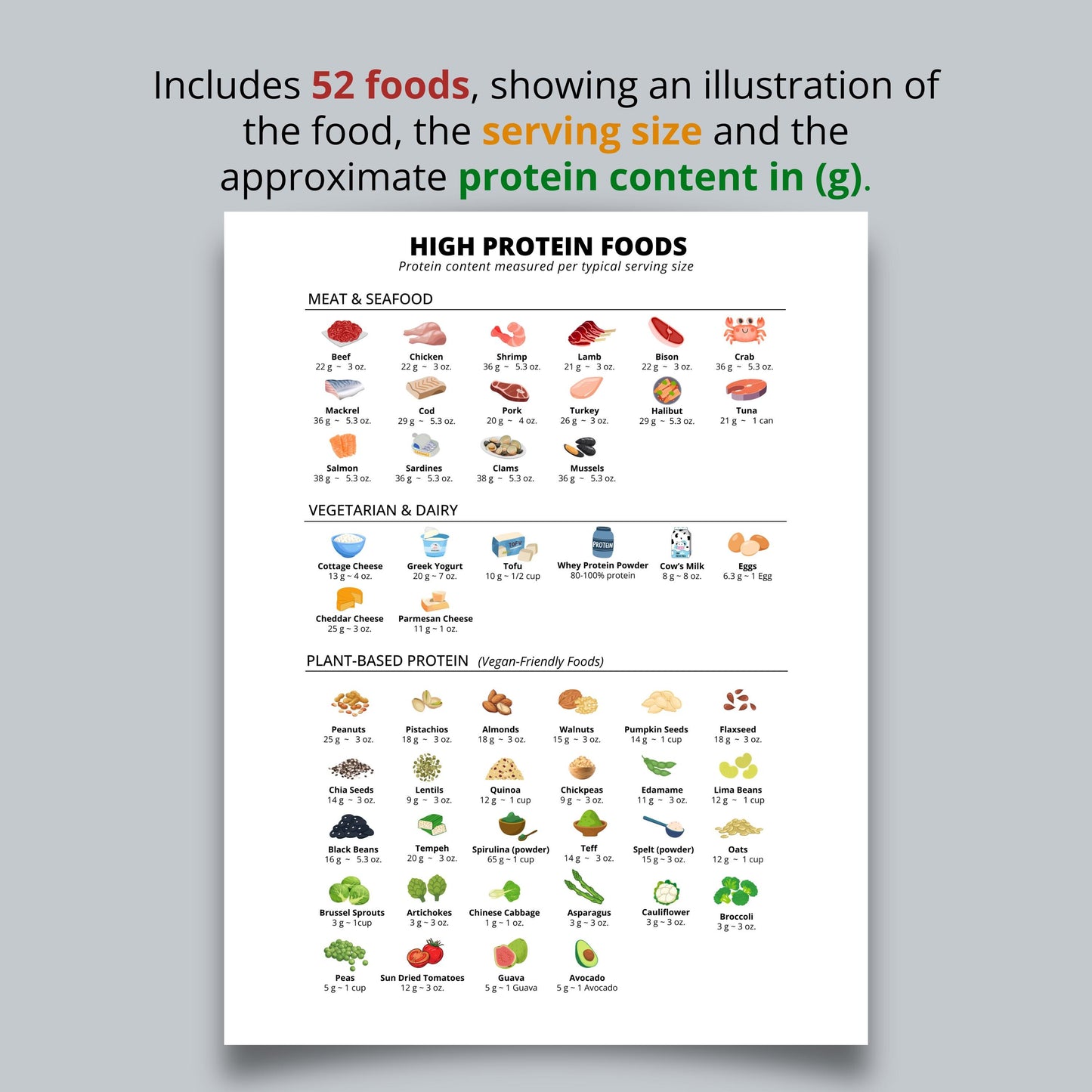 High Protein Foods List for Low Carb or Keto Diet, Carnivore Diet Plan, Printable Protein Chart, Digital Download