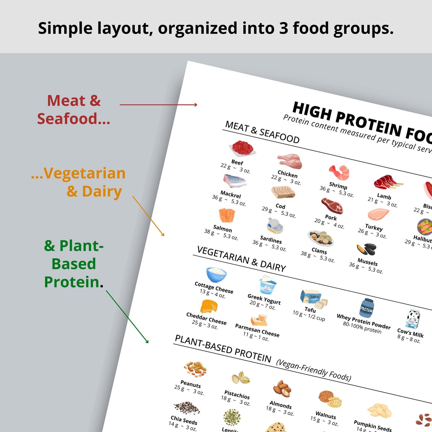 High Protein Foods List for Low Carb or Keto Diet, Carnivore Diet Plan, Printable Protein Chart, Digital Download